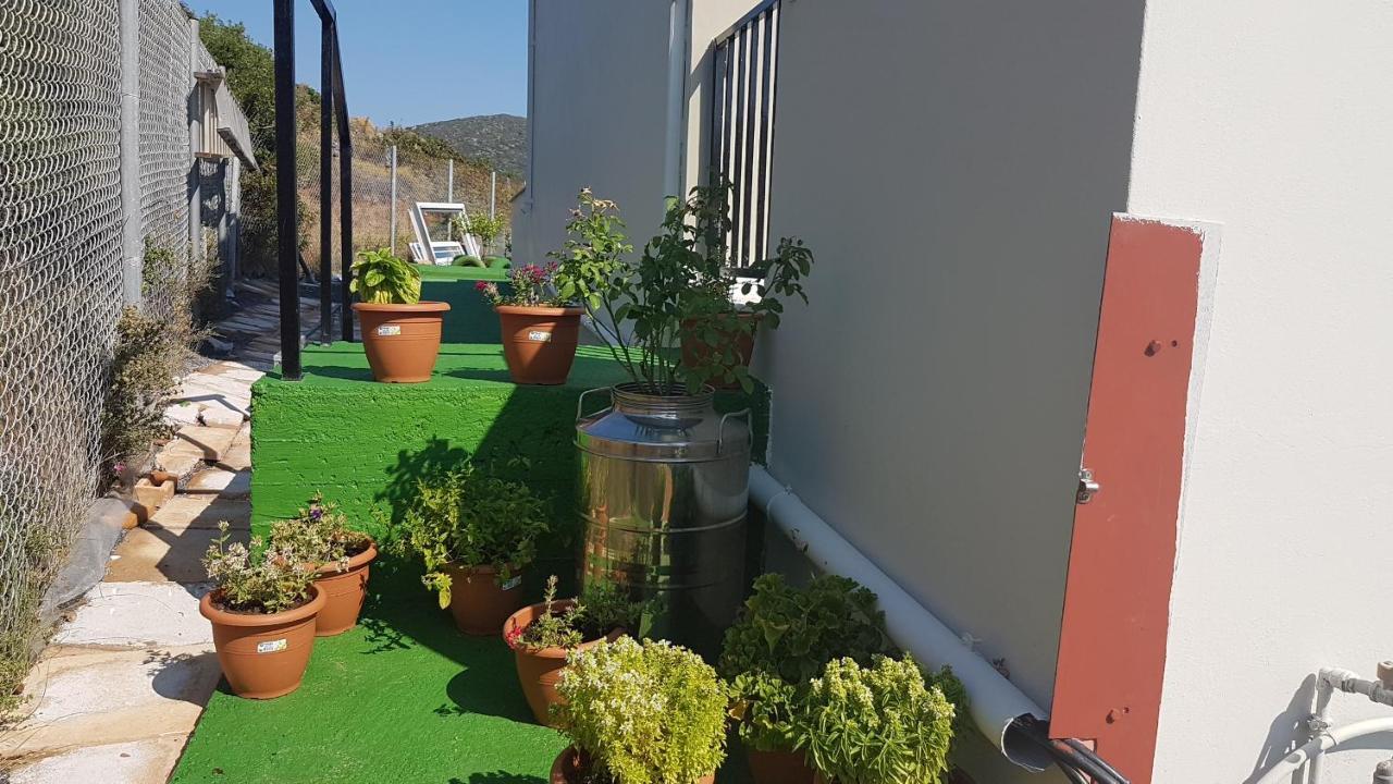 Agios Fokas  Anatoli Studios المظهر الخارجي الصورة